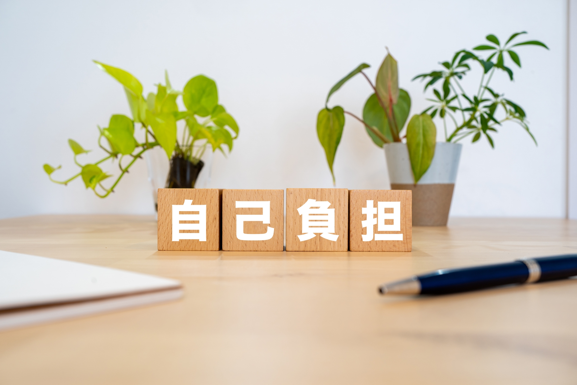 自己負担
